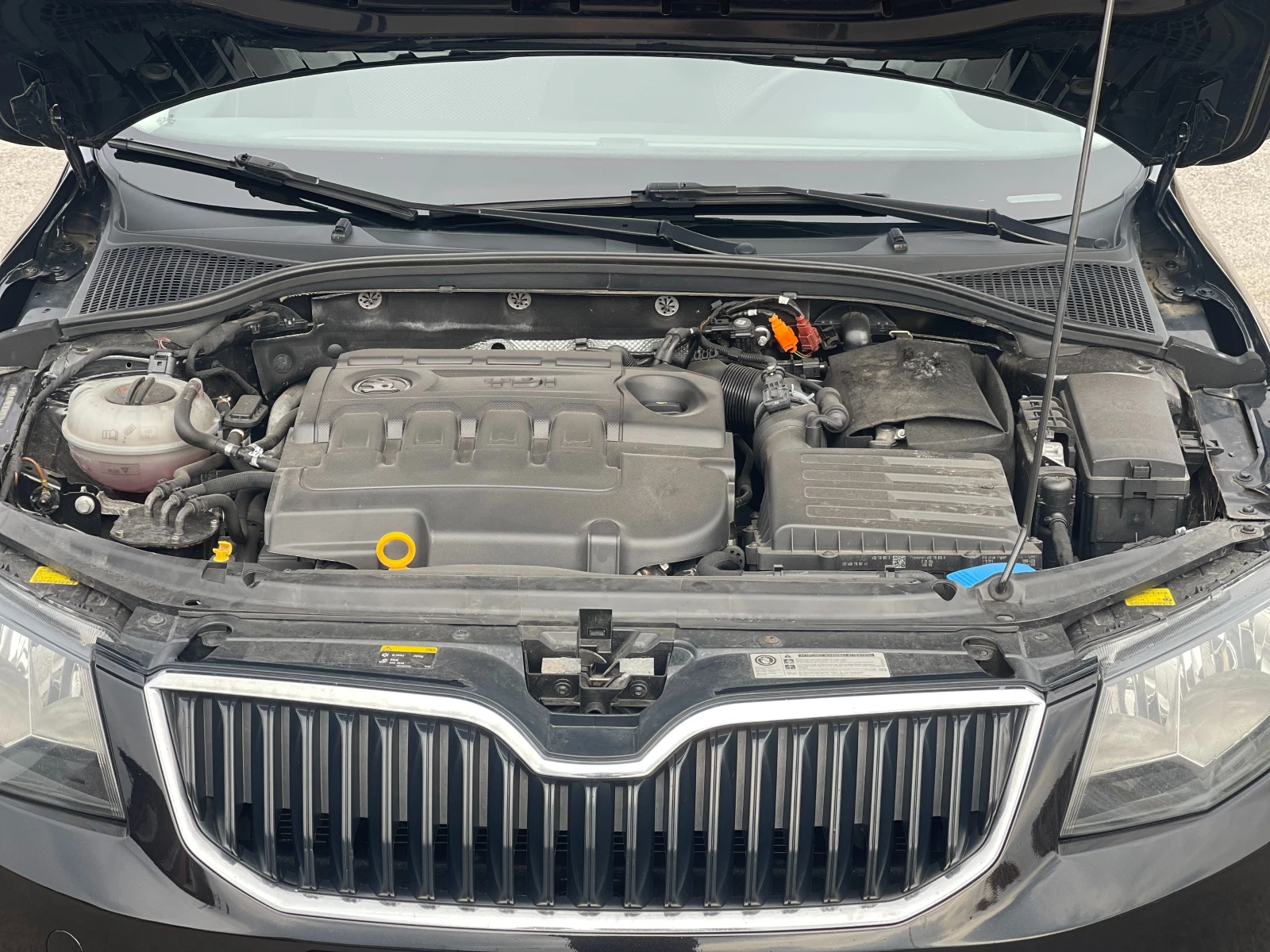 Škoda Octavia 1.6 TDI — 15
